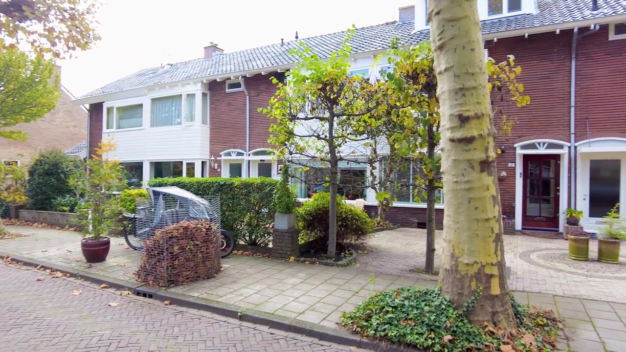 Video of Ibisstraat 17