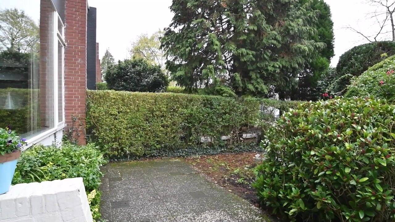 Video van Bizetlaan 13