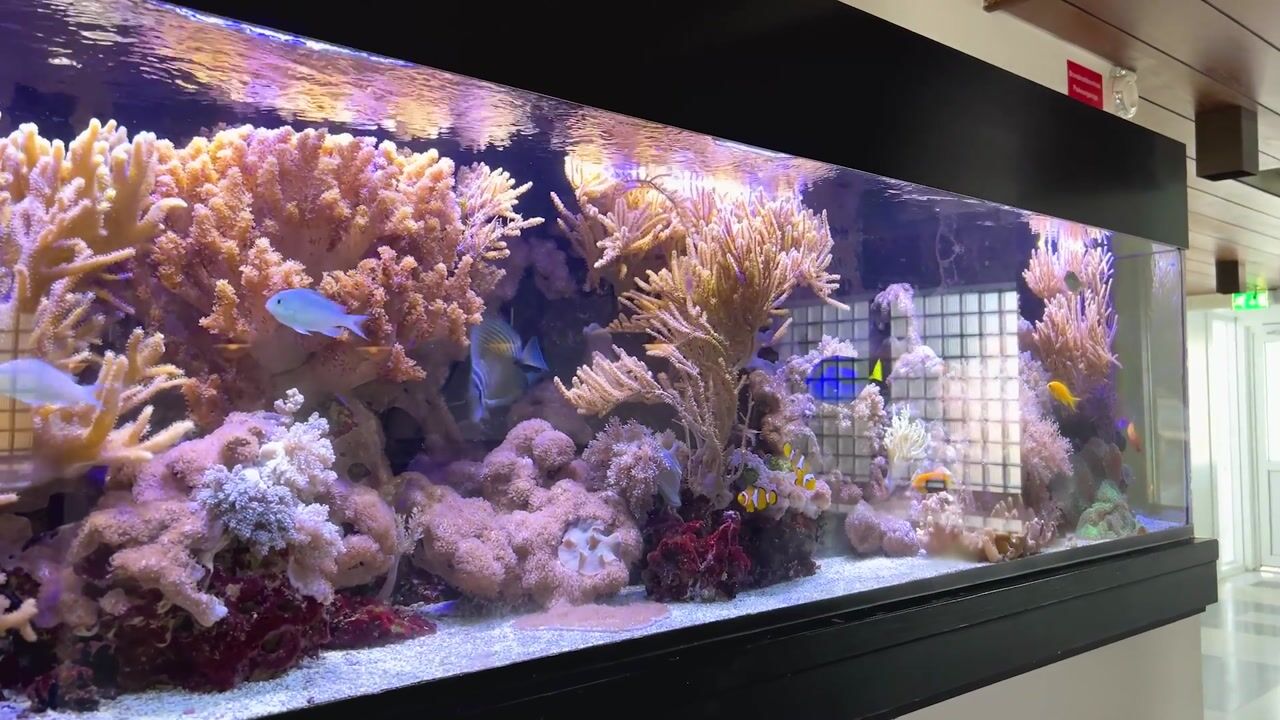 Video van Seinpostduin 162