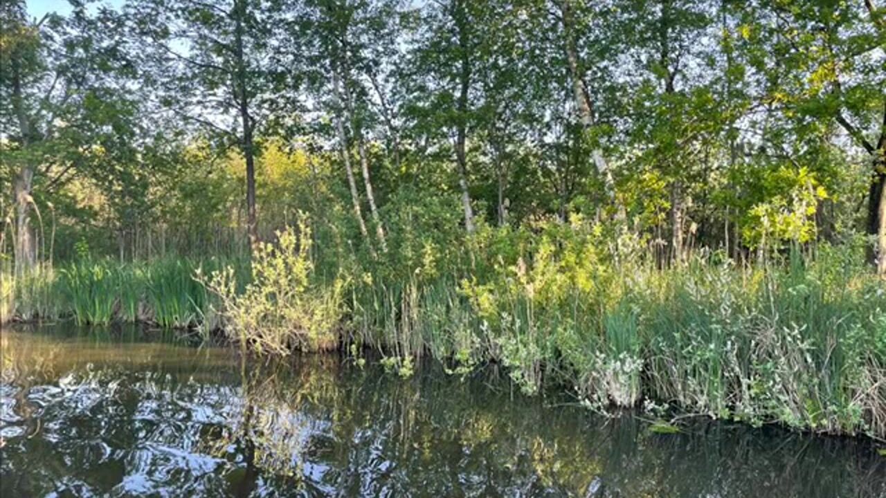 Bekijk video van Muyeveldse Wetering