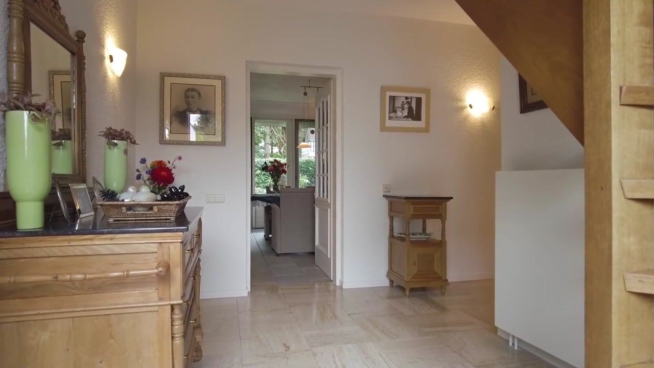 Video van Vogelenzang 33