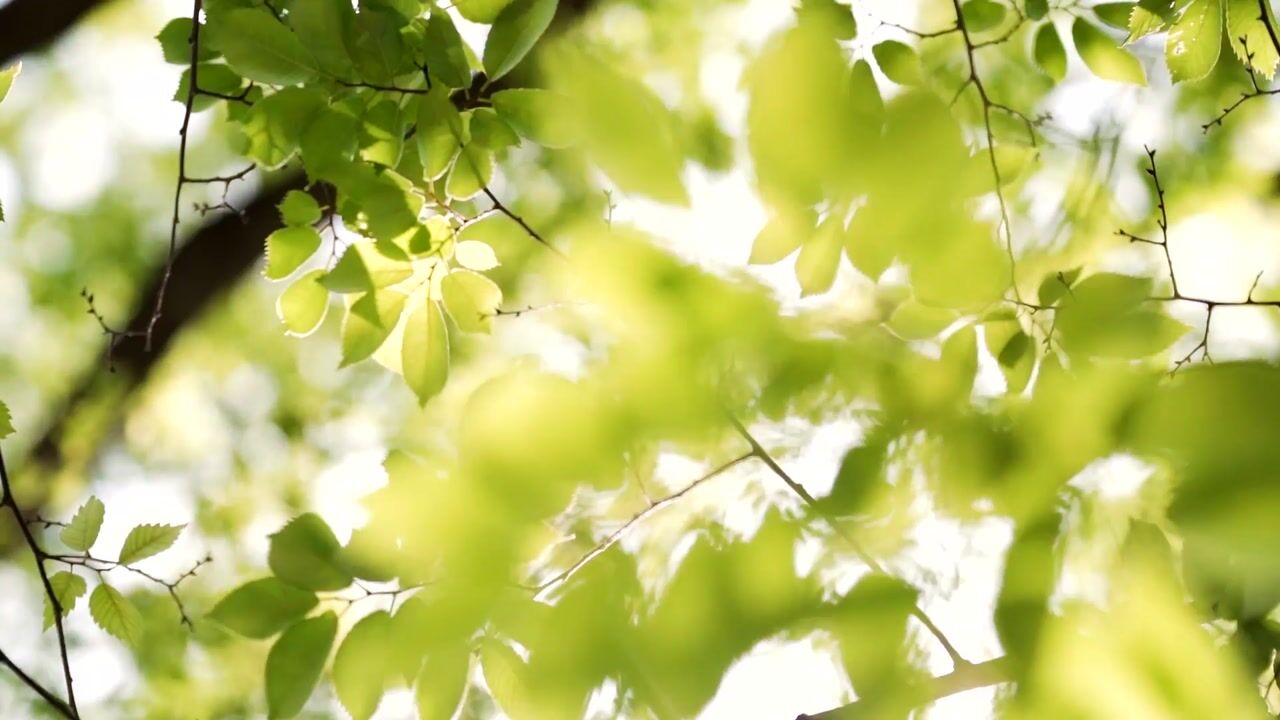 Video van 3-Laagse tussenwoning (Bouwnr. 14)