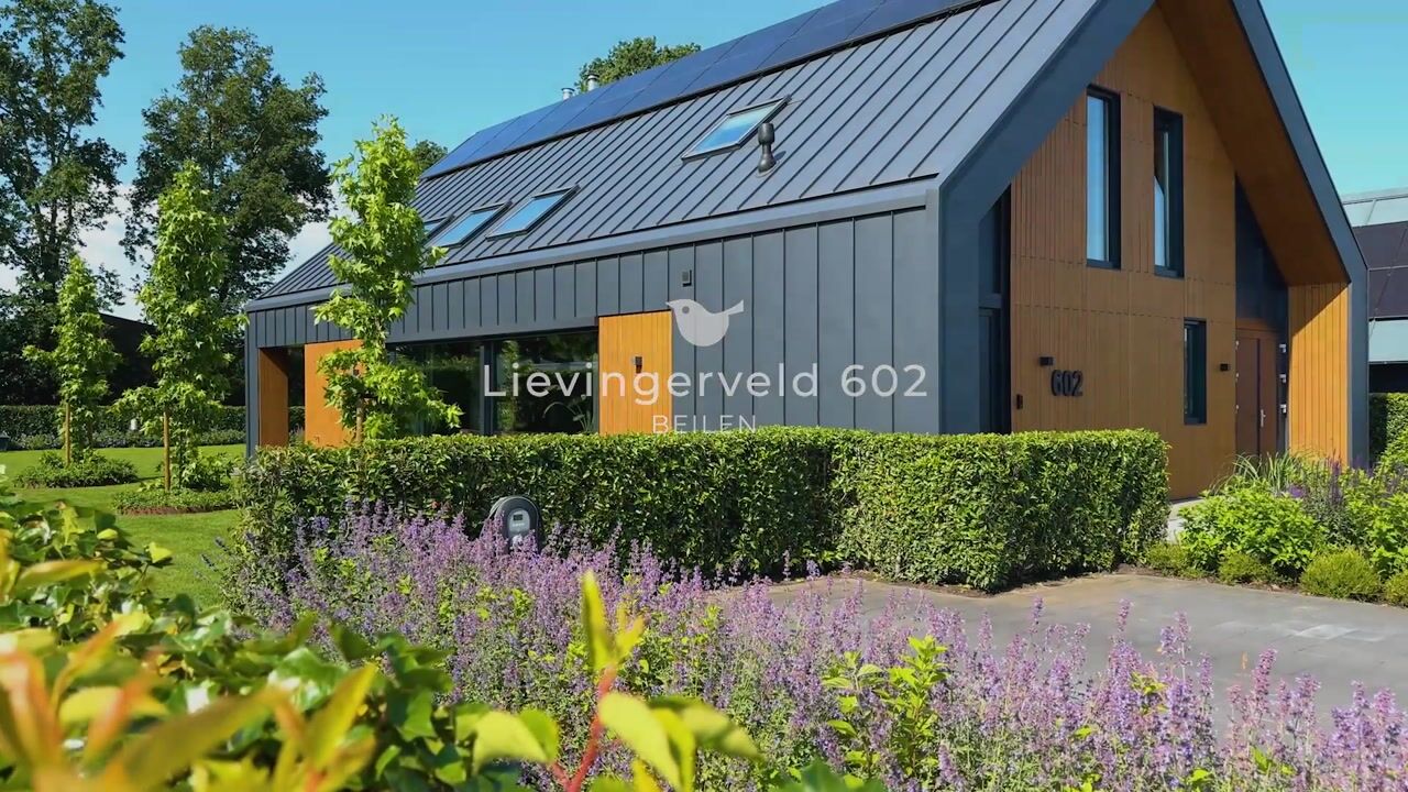 Video van Lievingerveld 602
