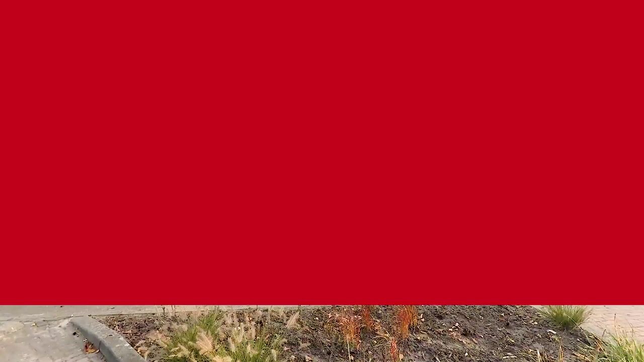 Video of Lege Leane 10