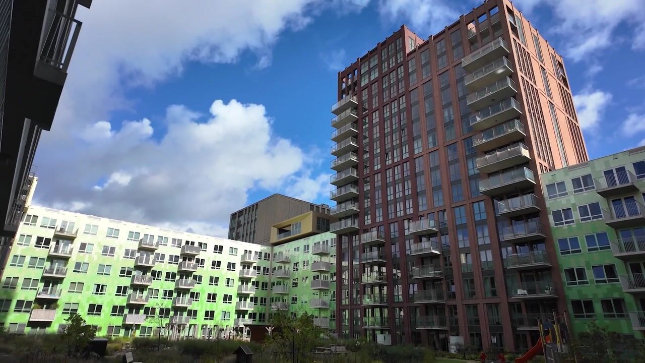 Video of Mangoweg 271