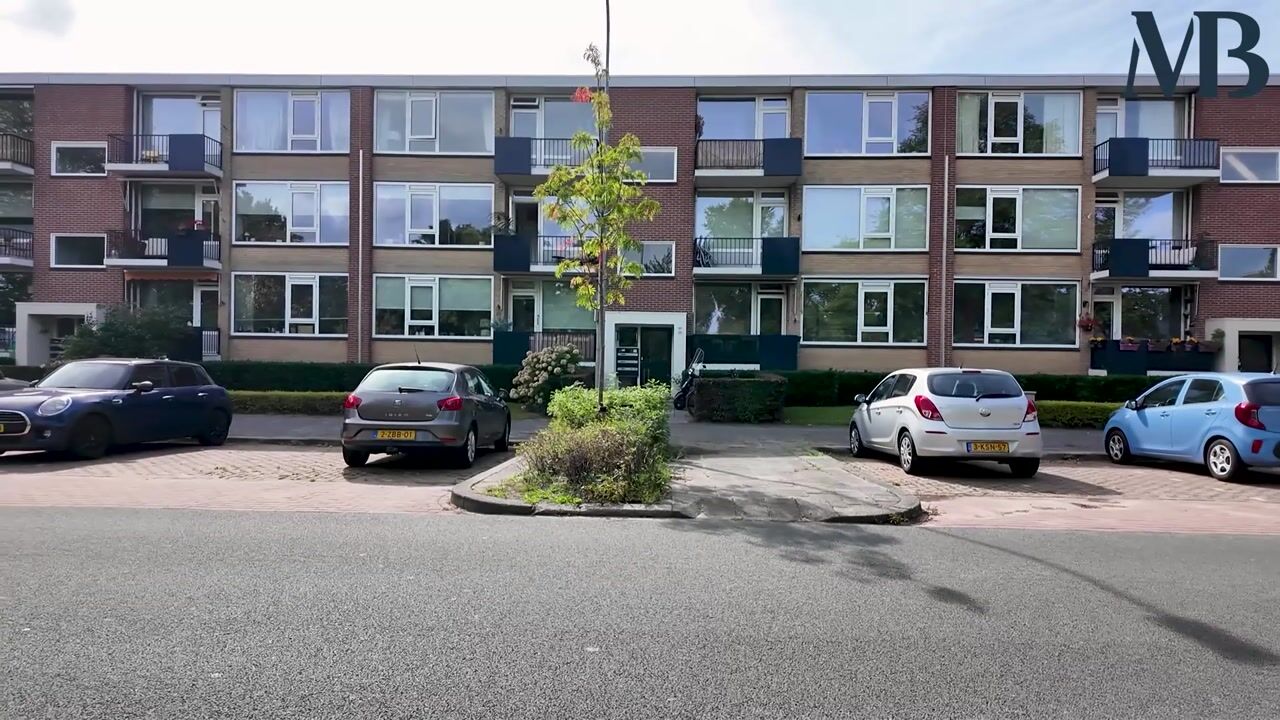Video van Helperzoom 389