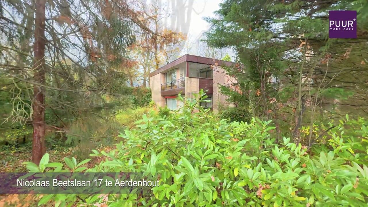 Video of Nicolaas Beetslaan 17