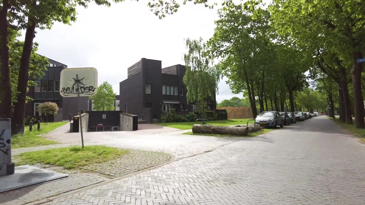 Video van Bosleeuwerik 14