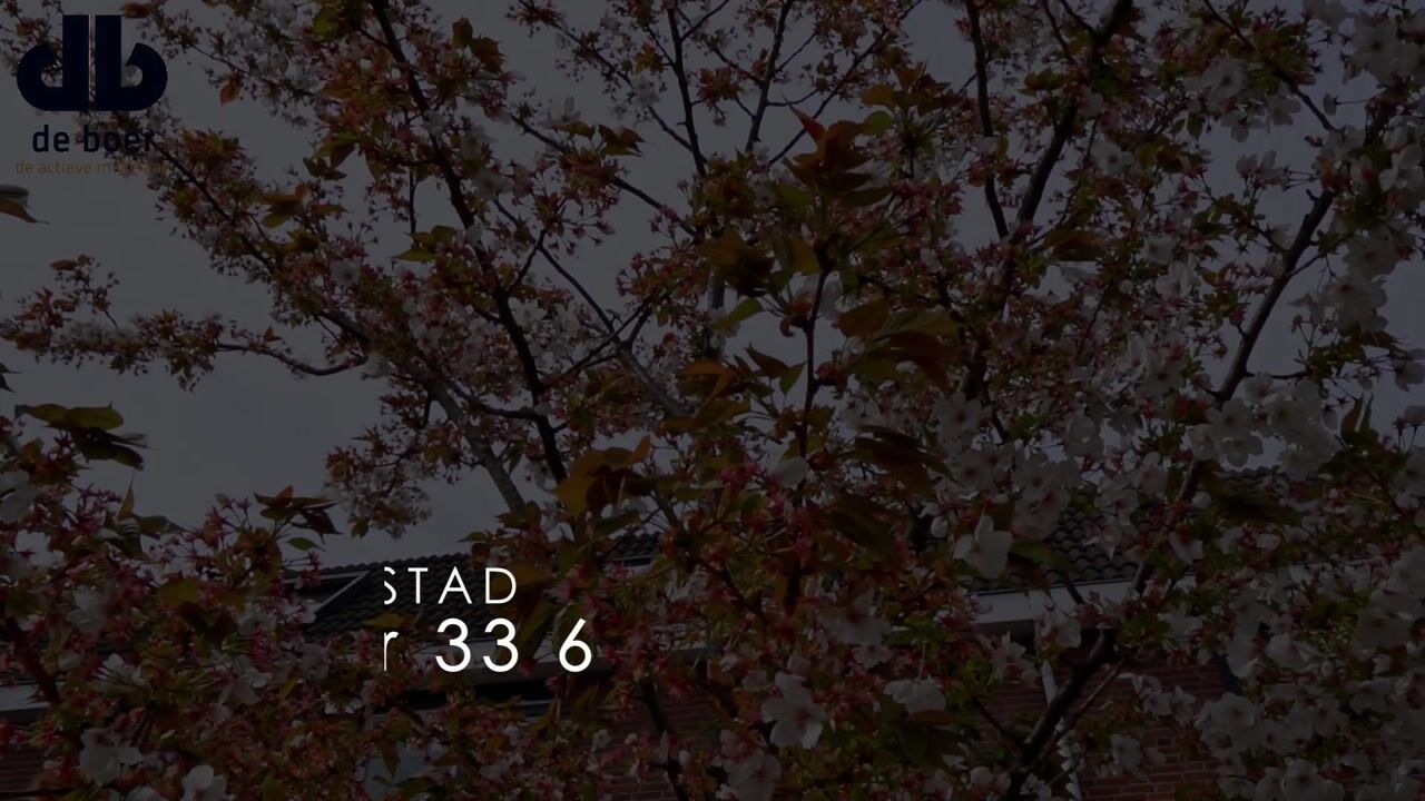 Video van Botter 33 6