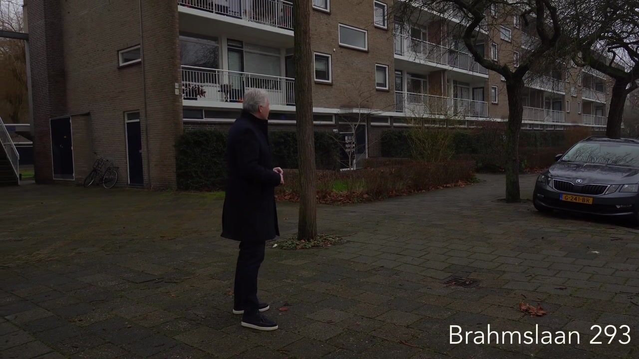 Video of Brahmslaan 293