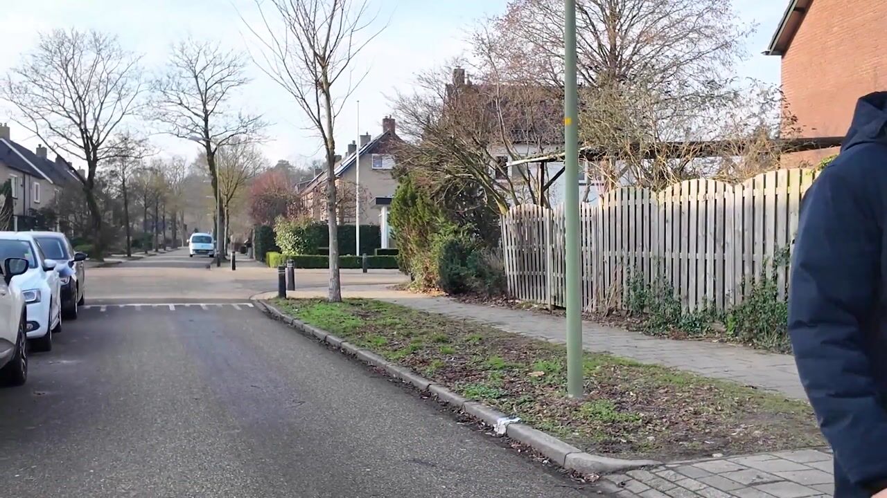 Video of Boerhaavelaan 112