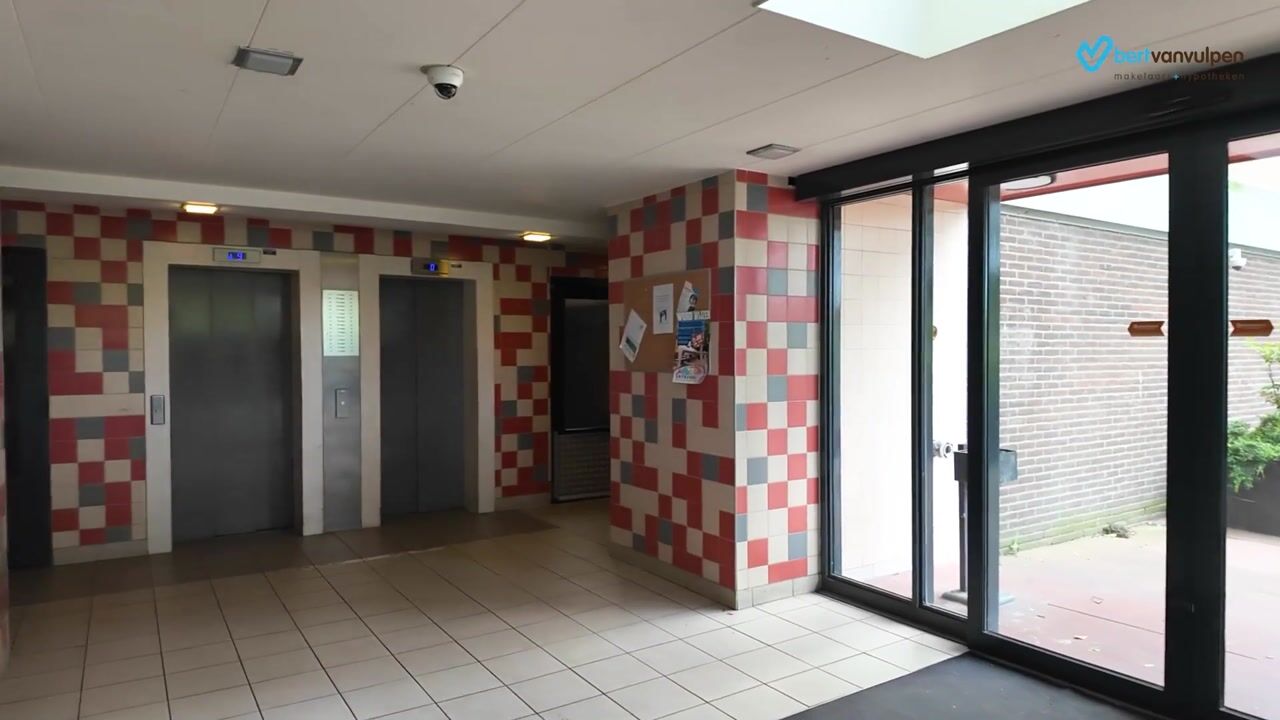 Video of Oost-Dorsch 17