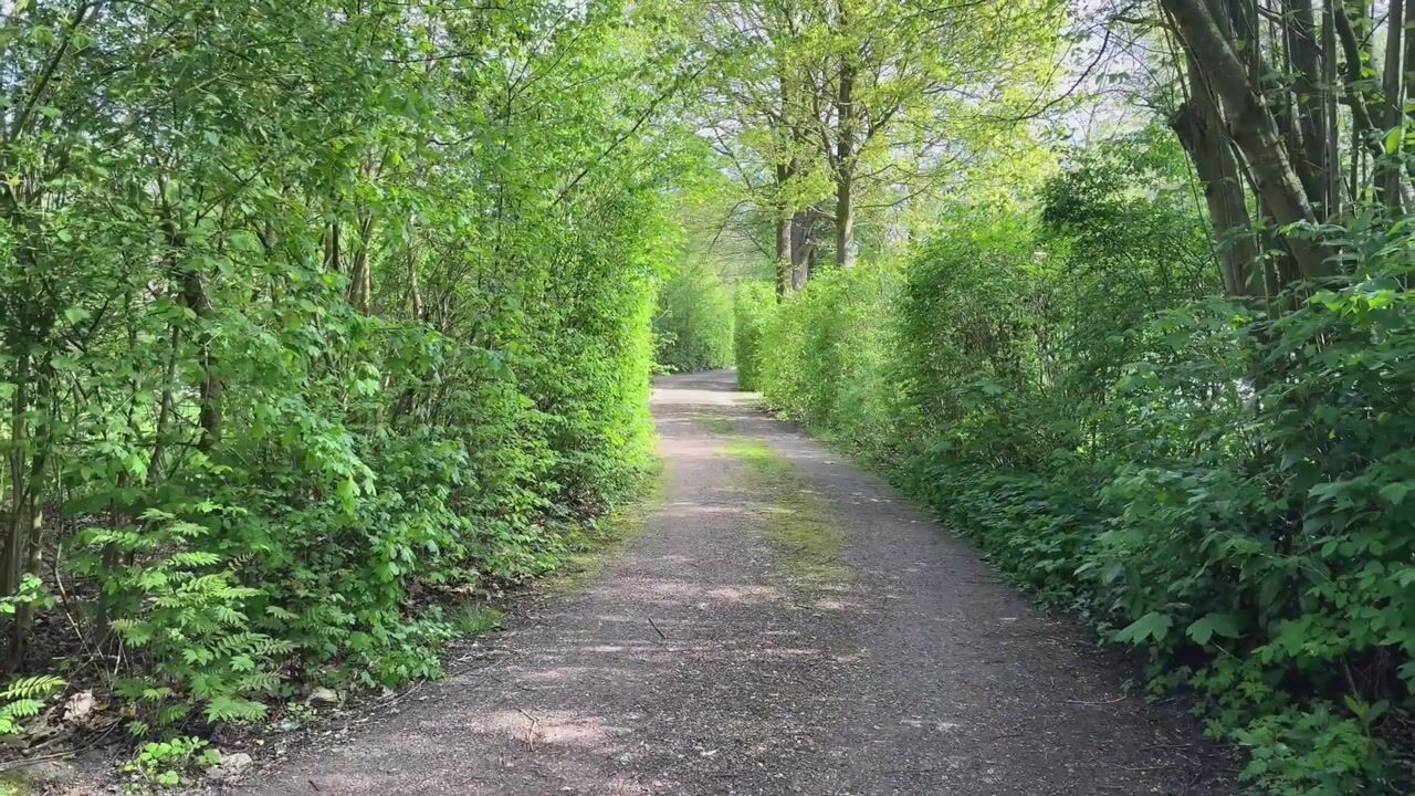 Video of Valtherweg 36-085