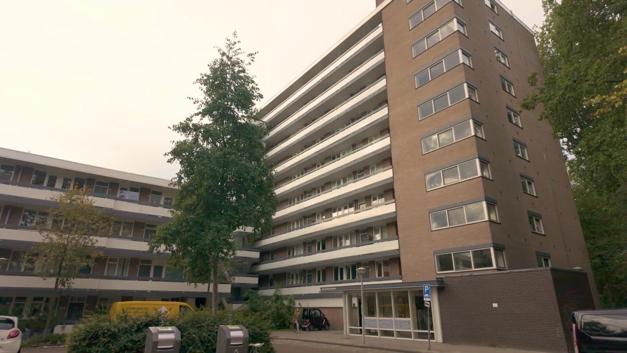 Video of Bolestein 290