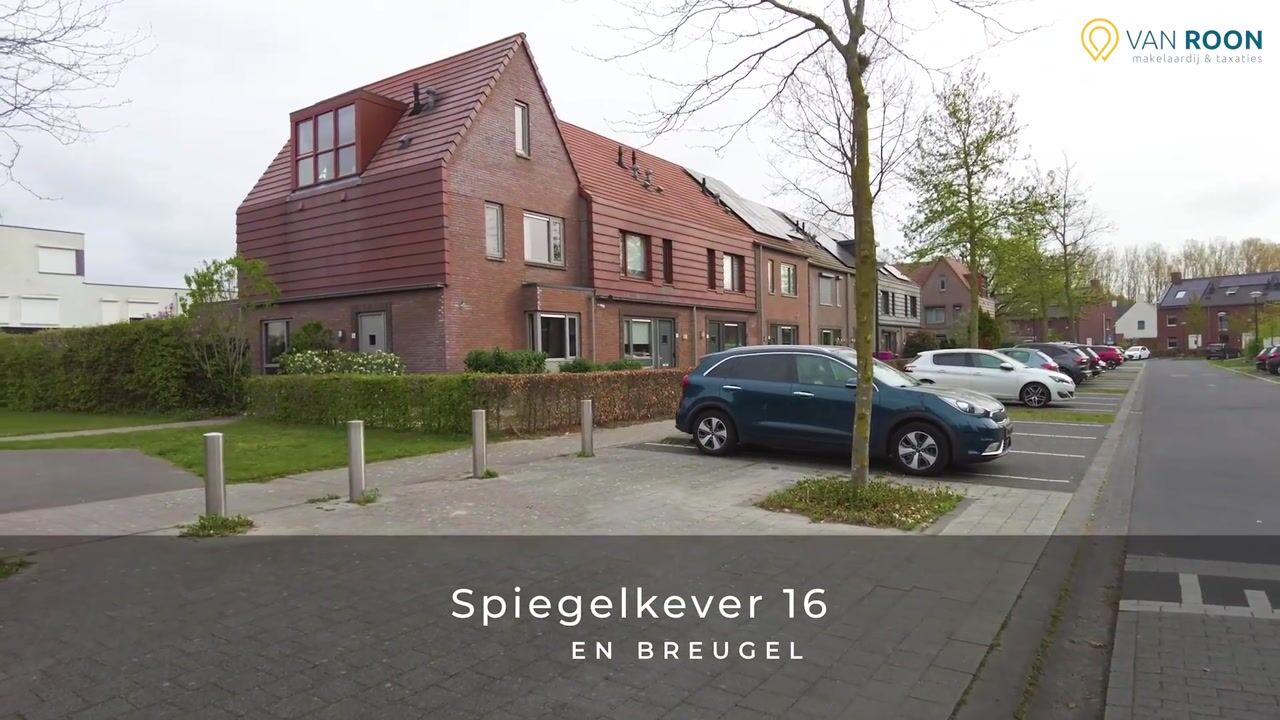 Video van Spiegelkever 16