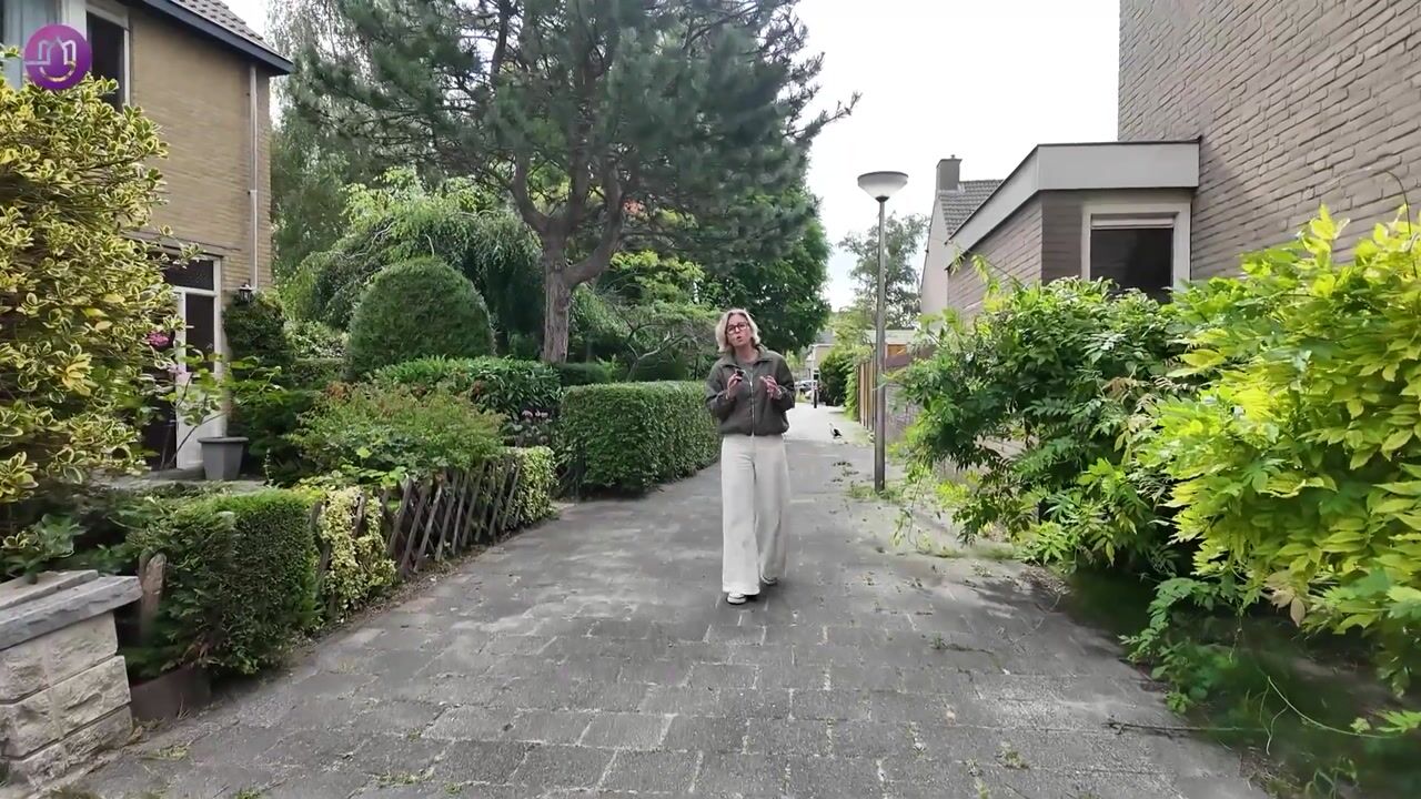 Video van Frans Halsstraat 39