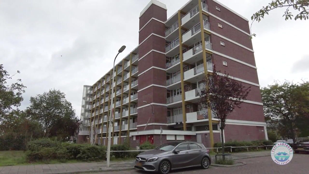 Video van Hertenrade 382