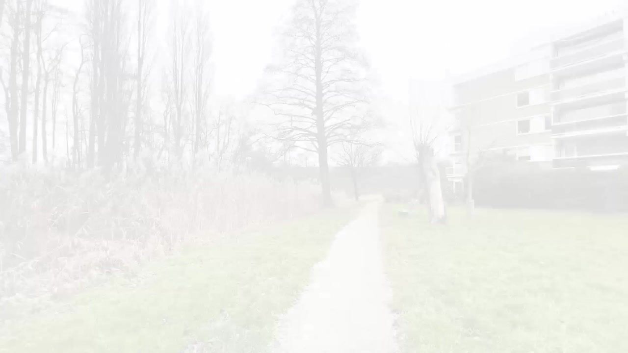 Video van Parnassiaveld 71