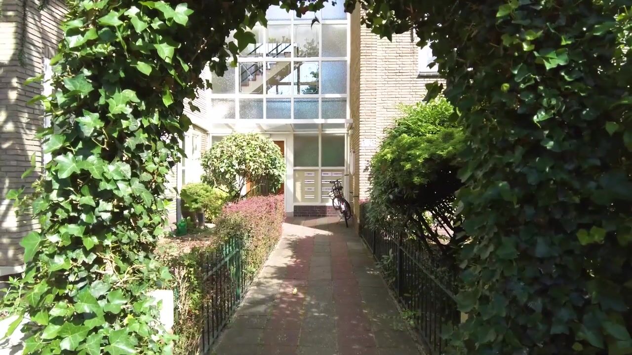 Video van Park de Werve 19