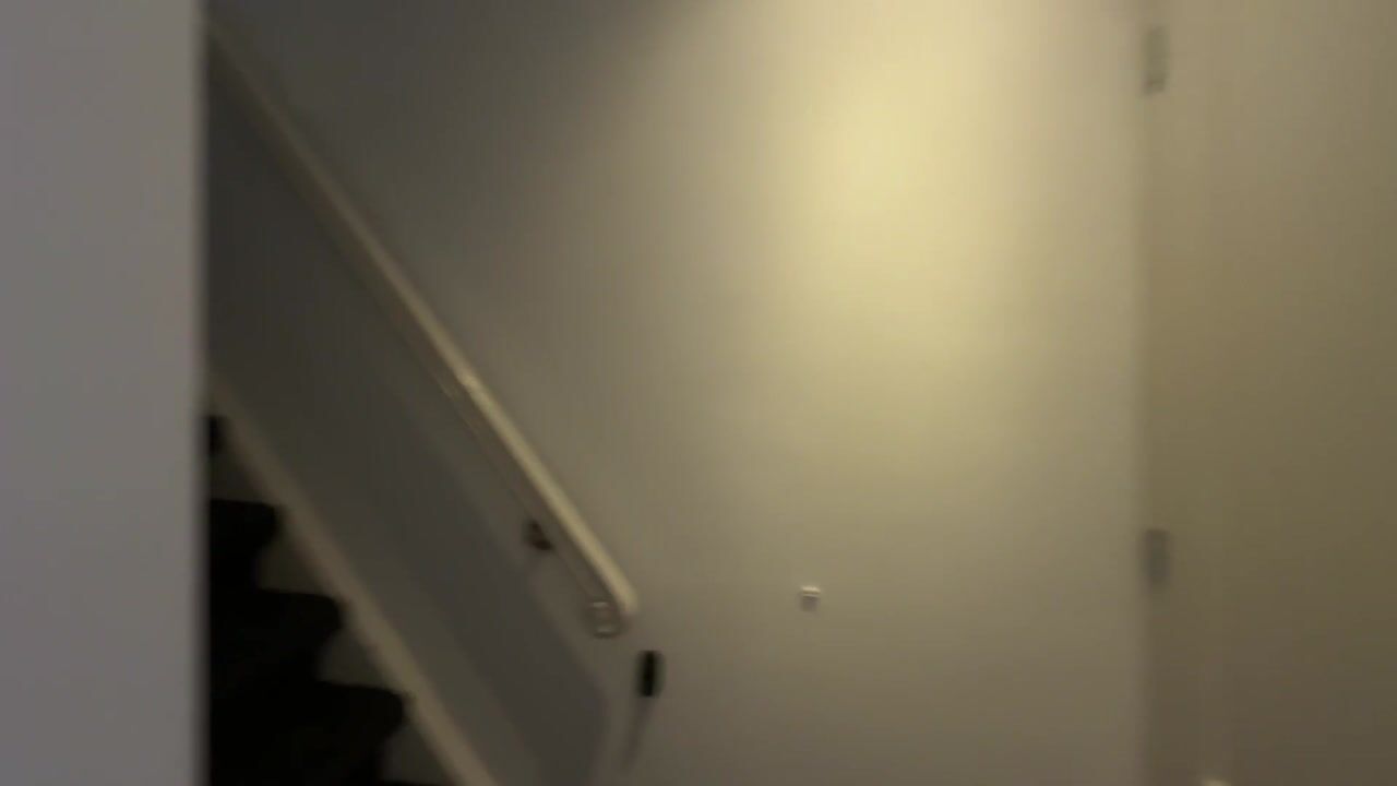 Video van Sarphatipark 62-2