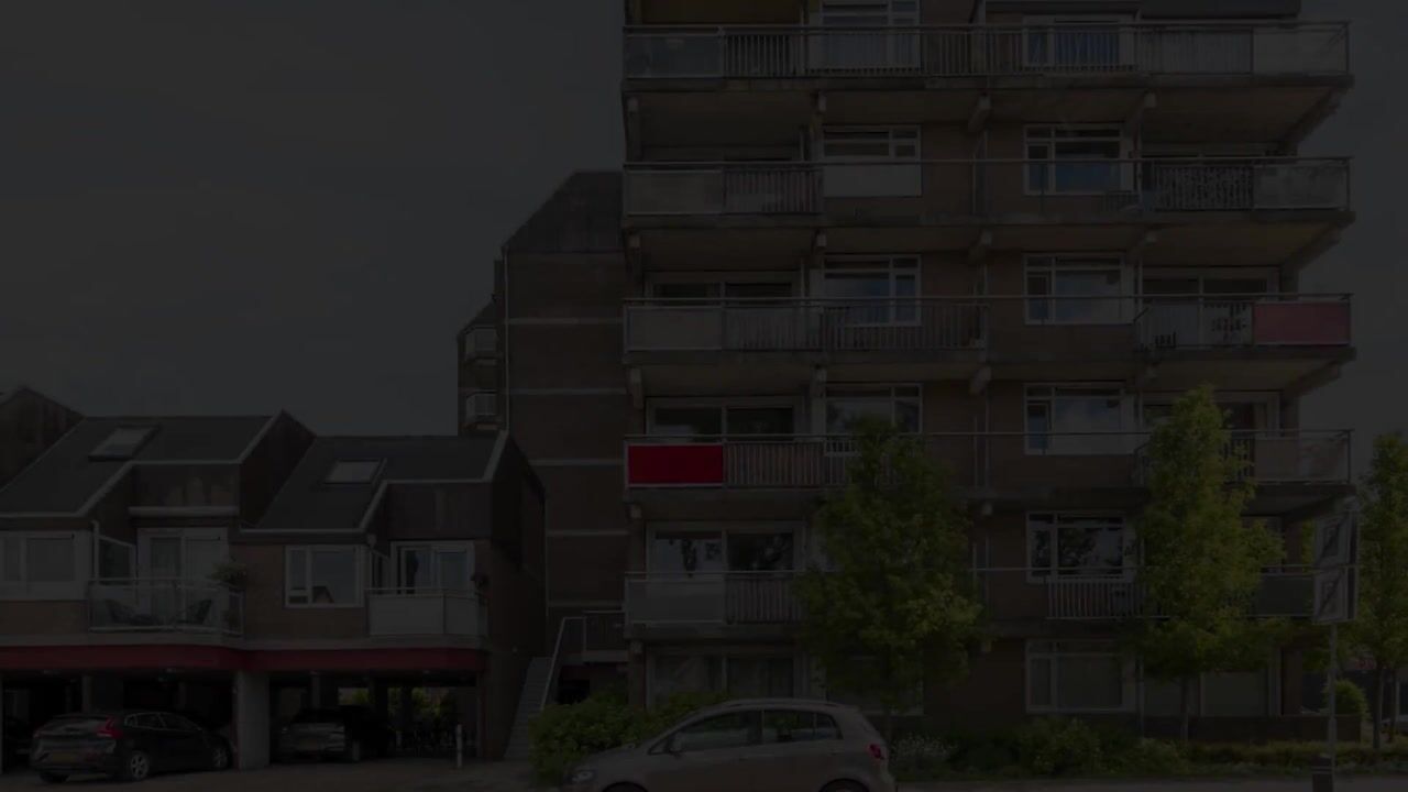 Video van Steendijk 65