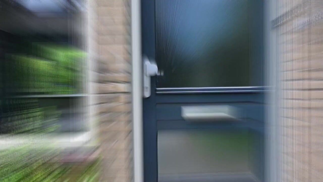 Video of de Reehorst 45