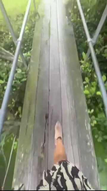 View video of Het Perenlaantje