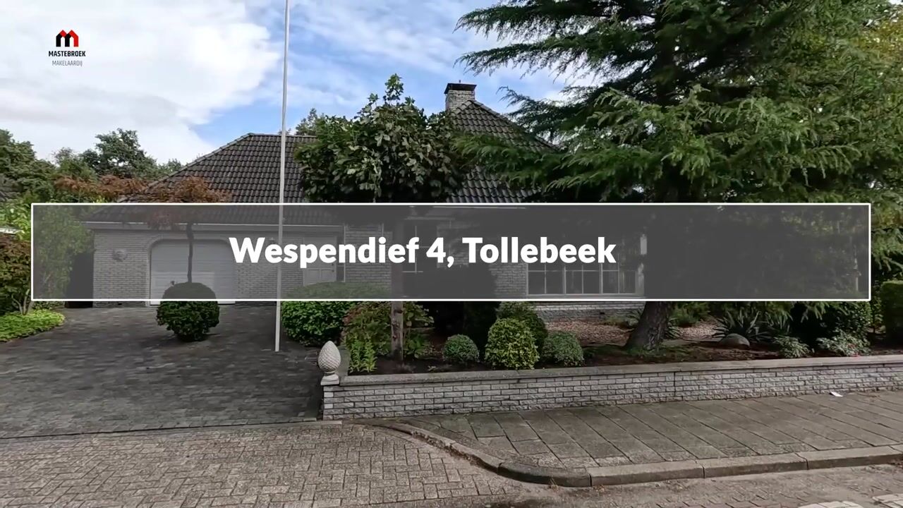 Video van Wespendief 4