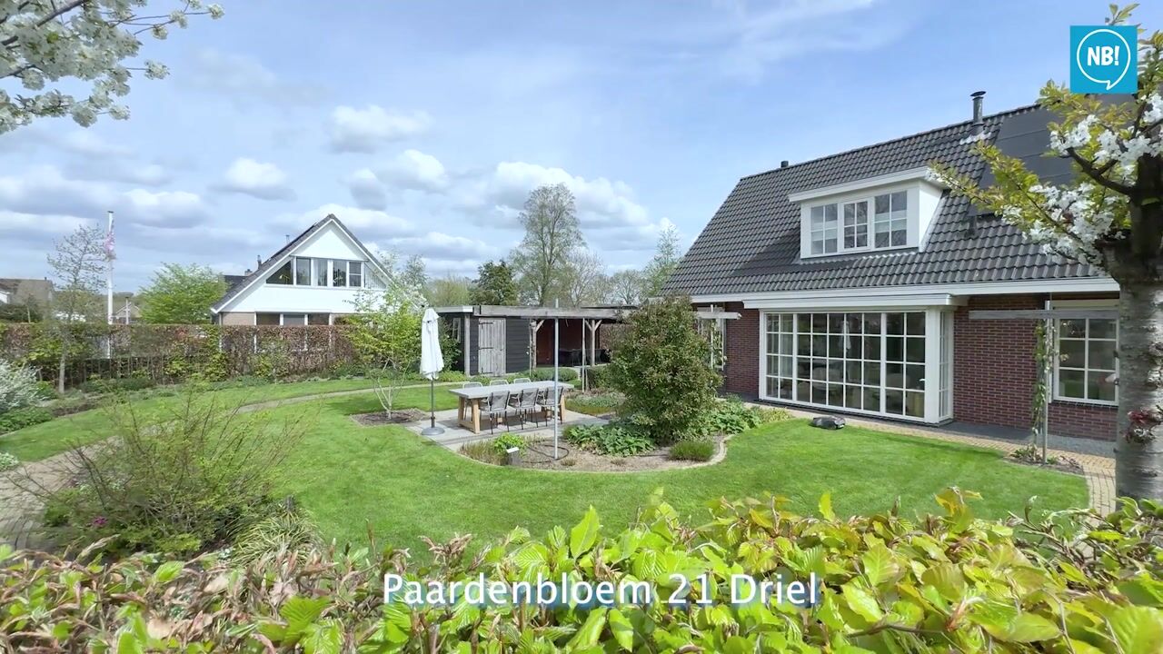 Video of Paardenbloem 21