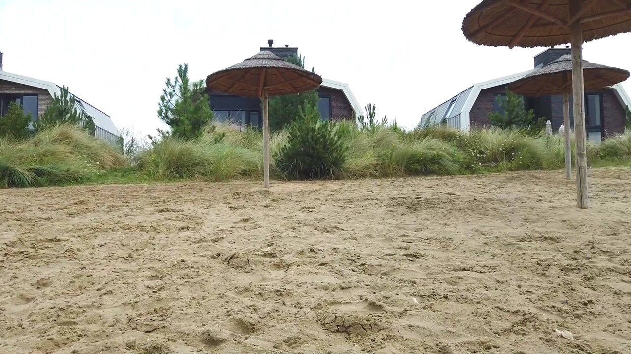 Video van Den Drul 19
