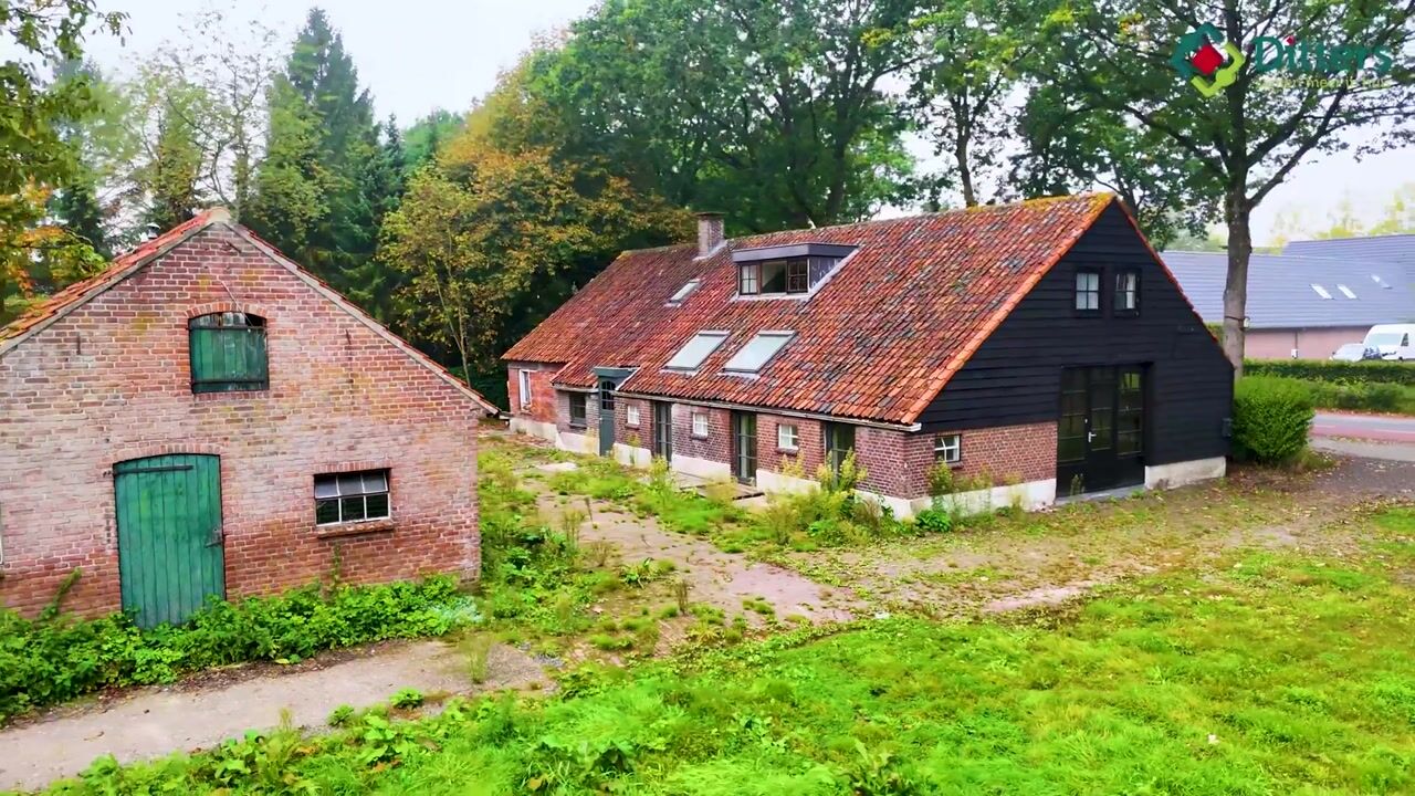 Video van Hogeweg 247