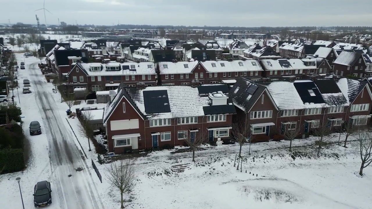 Video of Korianderpad 22