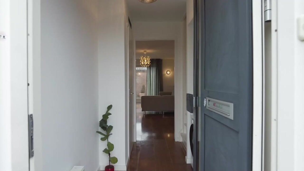 Video of Regenwulp 14