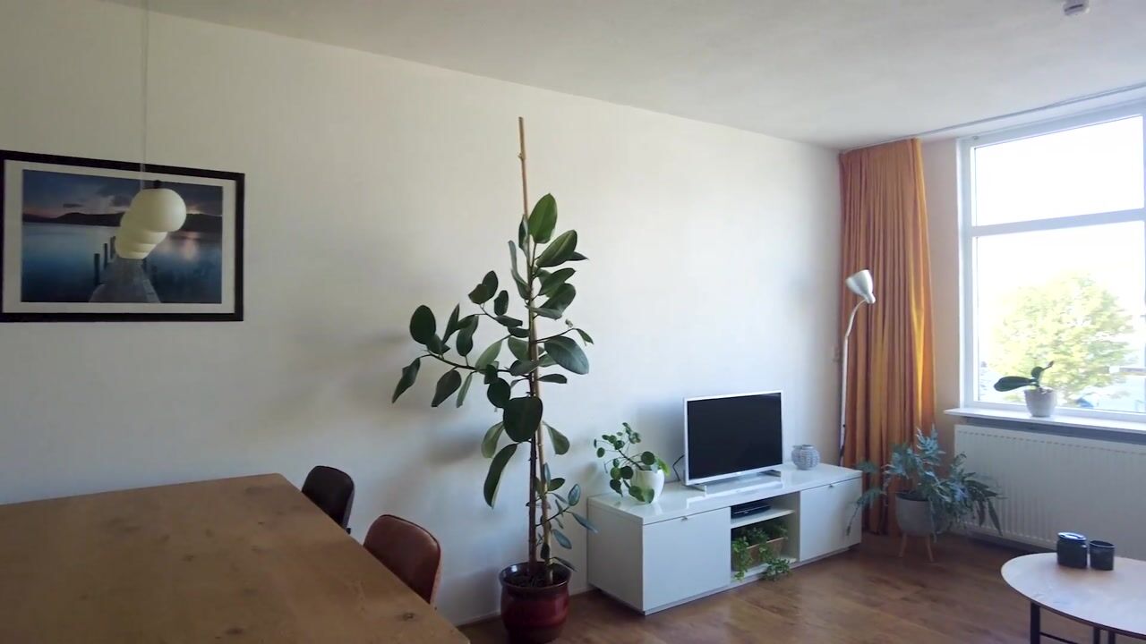 Video van Narcisplantsoen 18