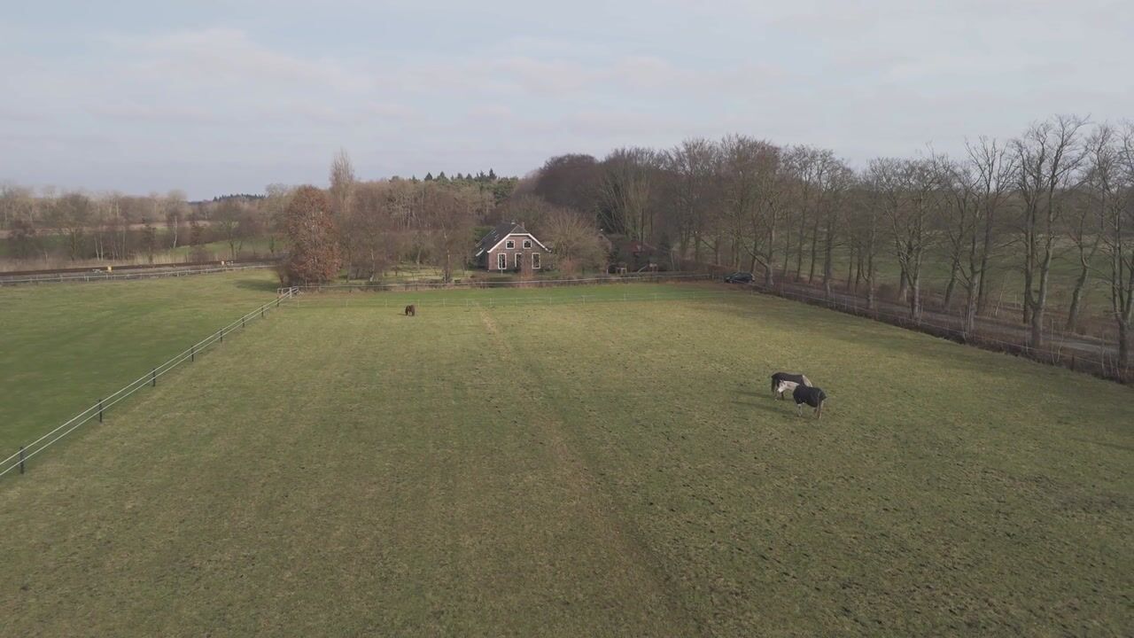 Video of Groenekanseweg 173