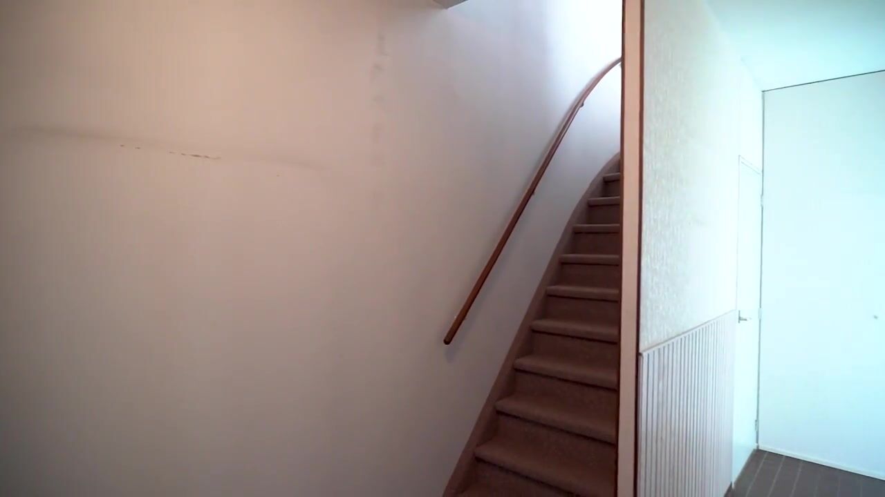 Video of Schokland 3