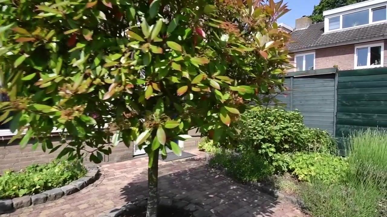 Video van Smaragdstraat 36