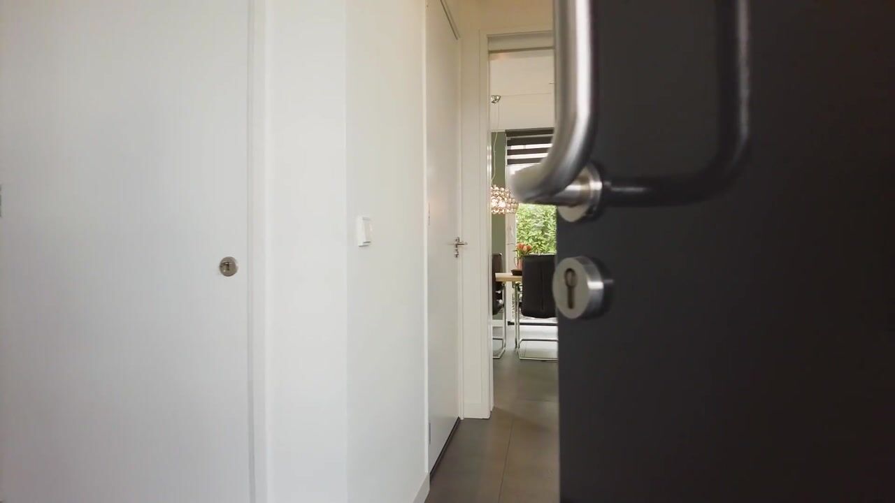 Video of Merelberg 18