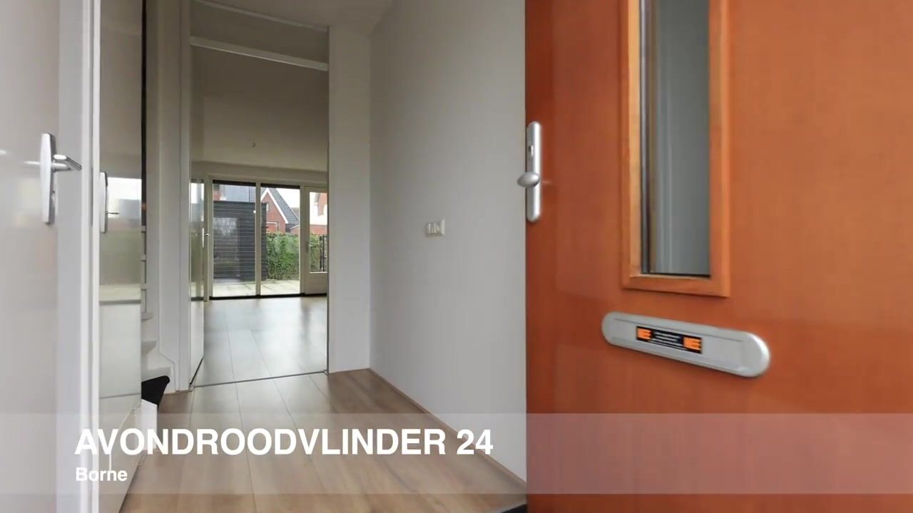 Video of Avondroodvlinder 24