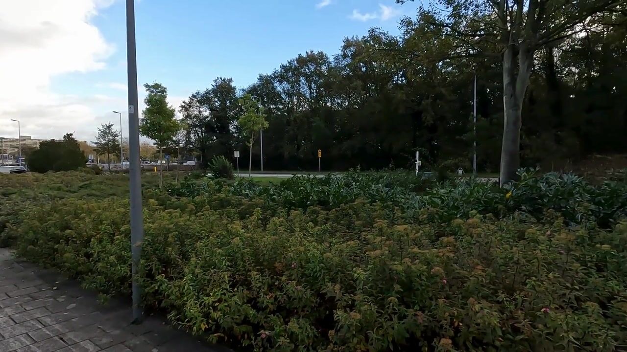 Video van Dirk van den Burgweg 103