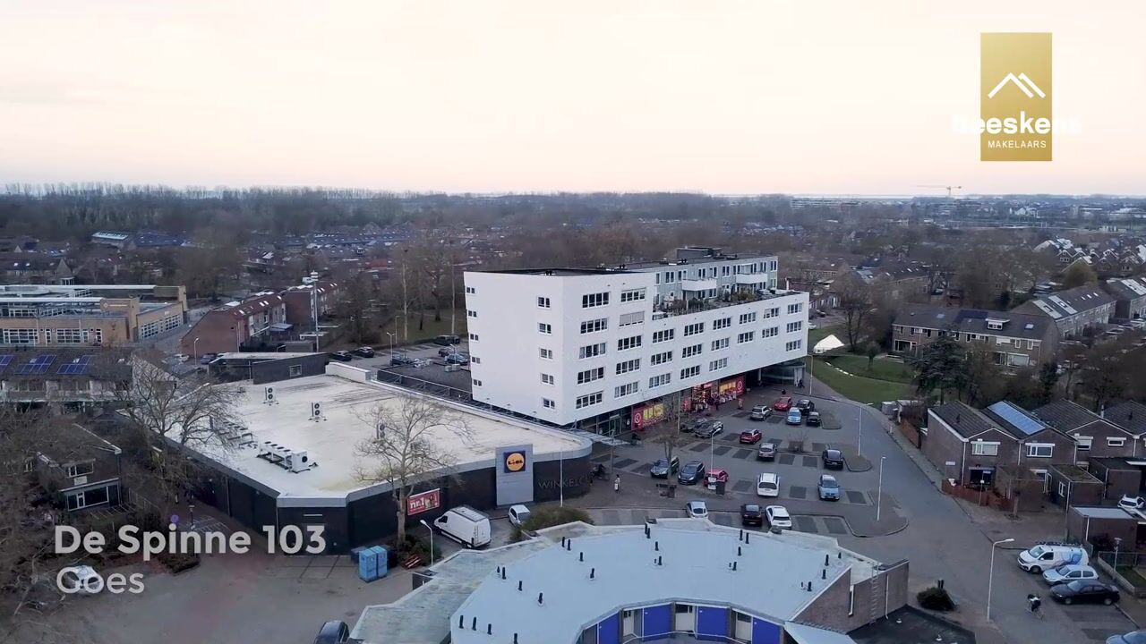 Video of De Spinne 103