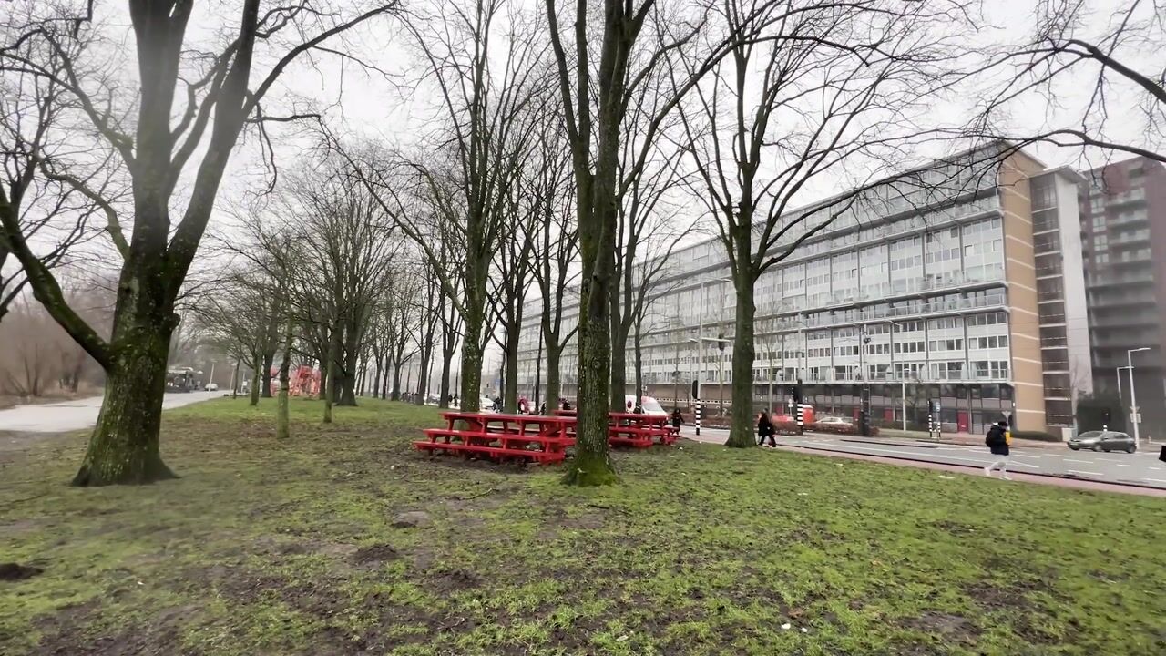 Video van Nicolaas Anslijnstraat 71