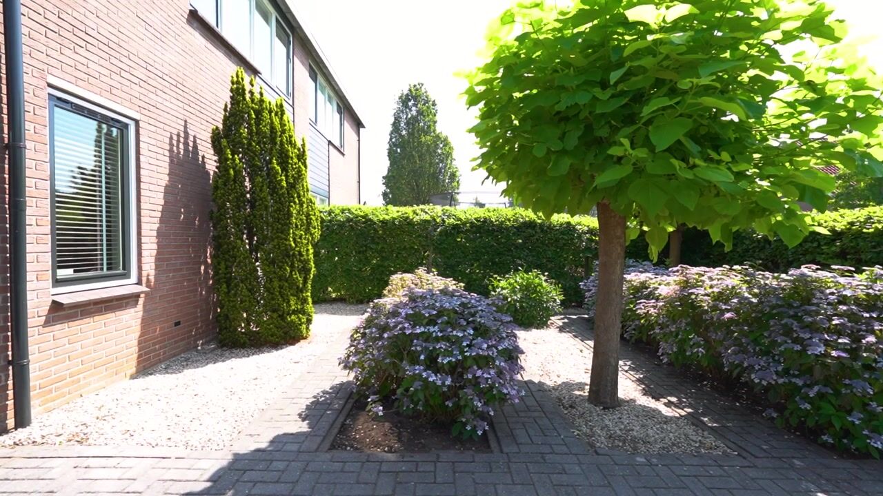 Video van De Weitjes 8