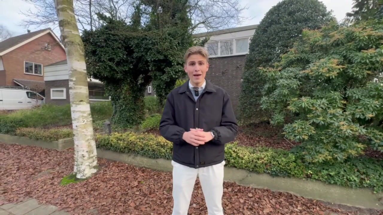 Video of Johan de Wittlaan 15