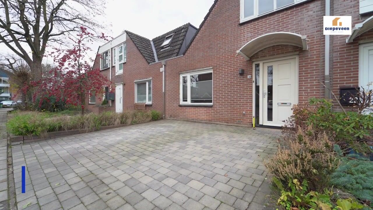 Video of Muurzwaluw 24