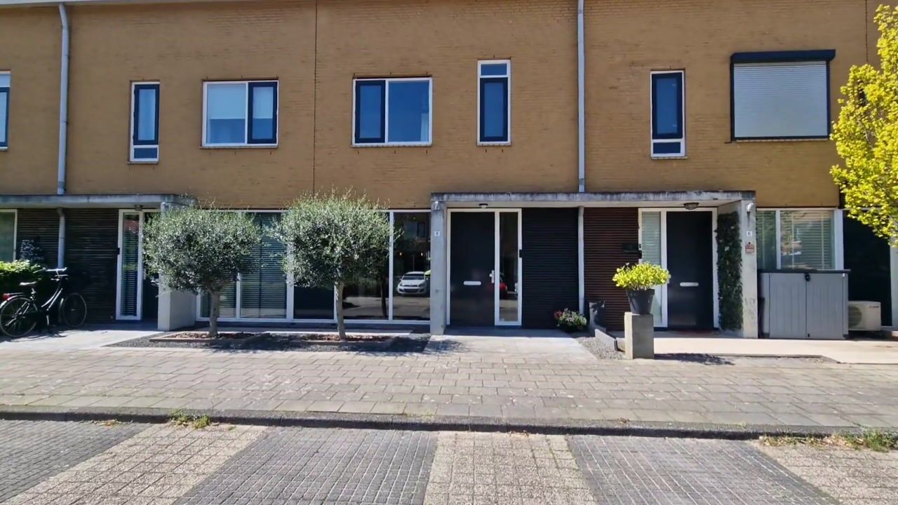 Video van Zeepaddestoel 8