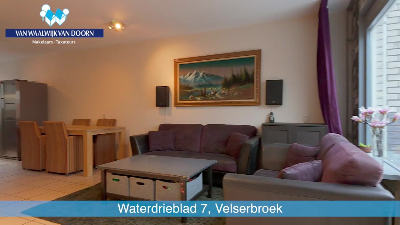 Bekijk video van Waterdrieblad 7