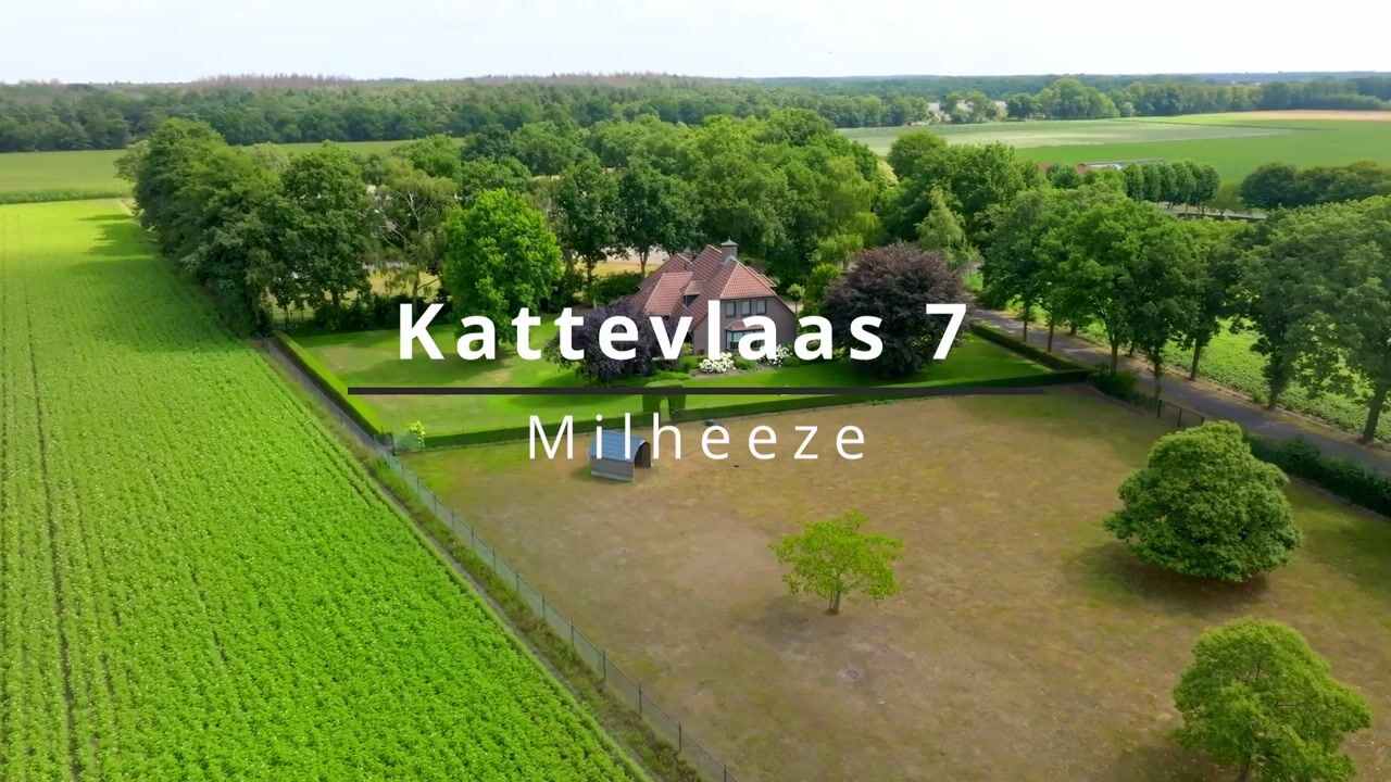 Video van Kattevlaas 7