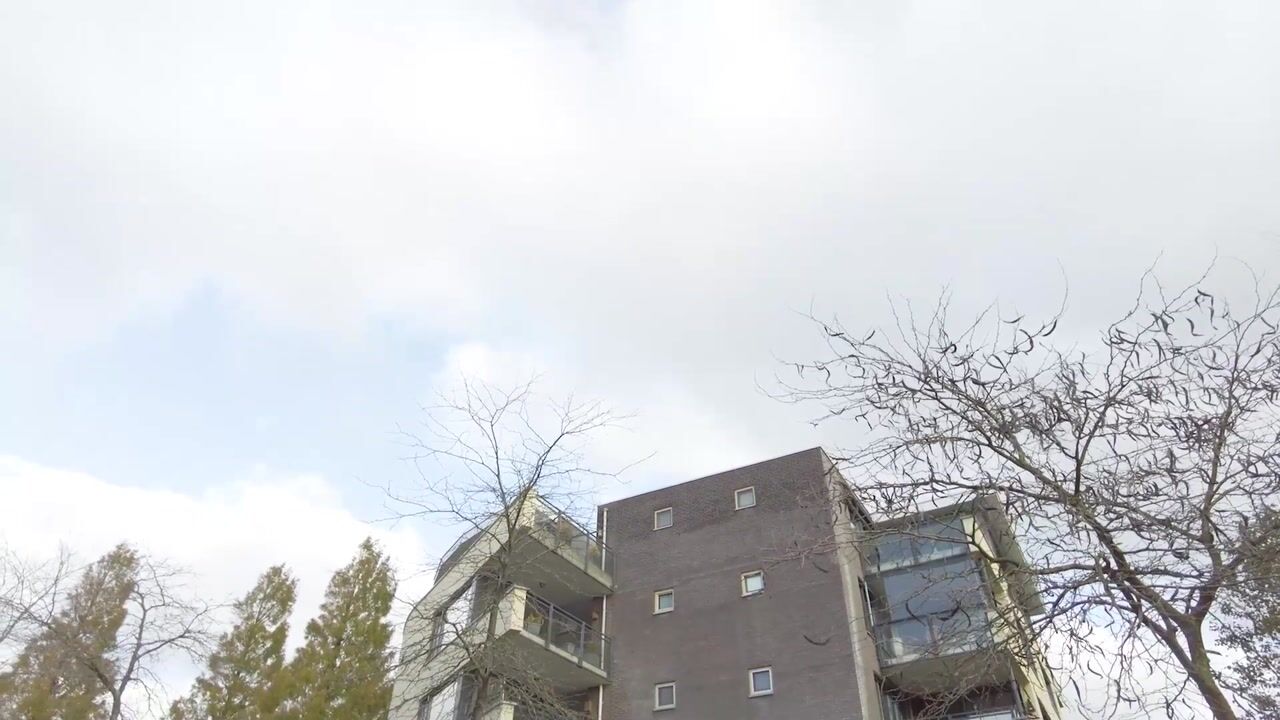 Video van Mariaplein 4