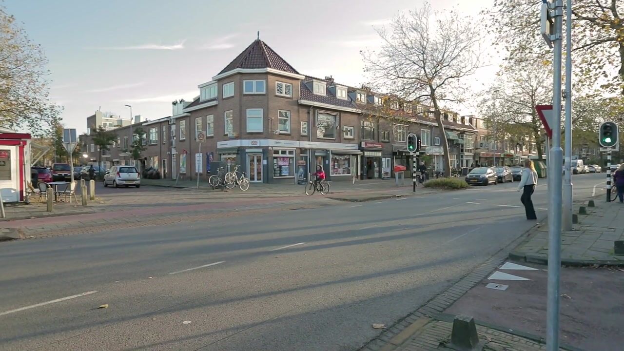 View video of Timorstraat 134